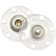 Union Knopf Push button 25mm | 10-transparent