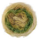 Lana Grossa BASTA MISTA | 102-pastel yellow/mustard/linden green/apple green