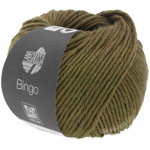 Lana Grossa BINGO Mélange (We Care) | 1012-olive mottled