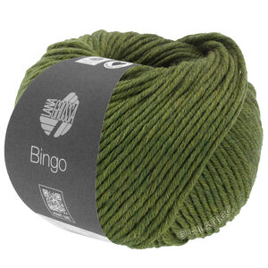 Lana Grossa BINGO Mélange (We Care) | 1013-olive green