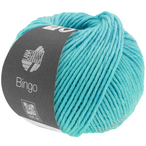 Lana Grossa BINGO Mélange (We Care) | 1017-turquoise mottled
