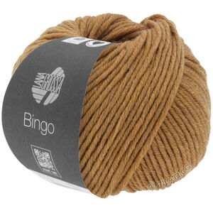 Lana Grossa BINGO Mélange (We Care) | 1026-caramel mottled