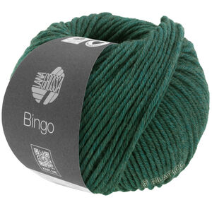 Lana Grossa BINGO Mélange (We Care) | 1028-dark green mottled