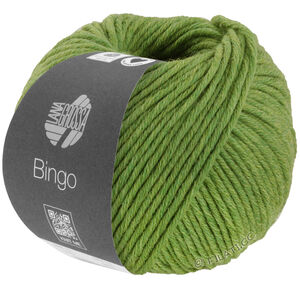 Lana Grossa BINGO Mélange (We Care) | 1036-green mottled