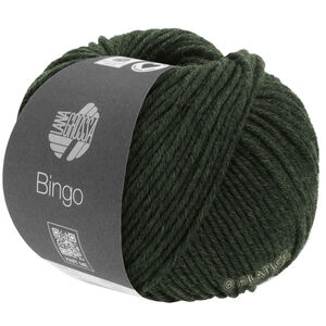 Lana Grossa BINGO Mélange (We Care) | 1040-dark olive green mottled