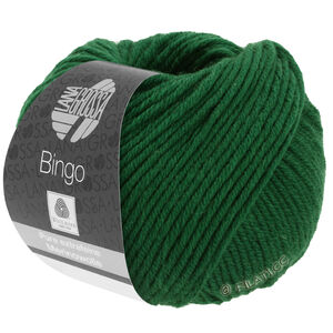 Lana Grossa BINGO  Uni/Melange | 174-fir