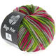 Lana Grossa BINGO Print | 360-light olive/dark olive/gray/fuchsia