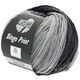 Lana Grossa BINGO Print | 608-medium gray/dark gray/anthracite
