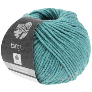 Lana Grossa BINGO  Uni/Melange | 736-light sea green