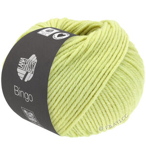 Lana Grossa BINGO  Uni/Melange | 772-subtle green