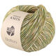 Lana Grossa BOTTONI | 12-green brown/cream