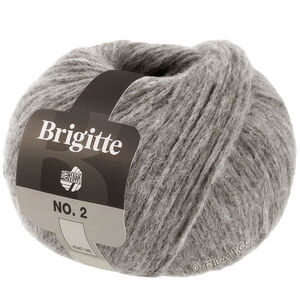Lana Grossa BRIGITTE NO. 2 | 70-light gray