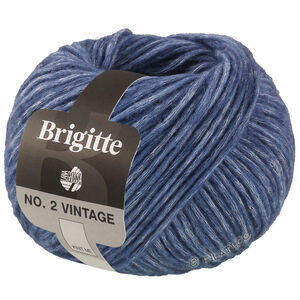 Lana Grossa BRIGITTE NO. 2 Vintage | 205-blue mottled