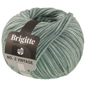 Lana Grossa BRIGITTE NO. 2 Vintage | 207-gray green mottled