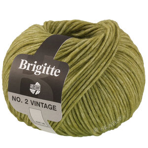 Lana Grossa BRIGITTE NO. 2 Vintage | 208-olive mottled