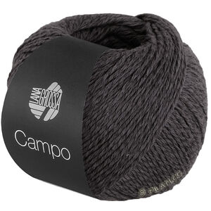 Lana Grossa CAMPO | 25-gray brown