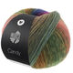 Lana Grossa CANDY | 08-moss green/forest green/lilac/gray purple/jeans/dark gray/orange/yellow/pink/dark blue/salmon/nougat/jade/white