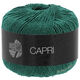 Lana Grossa CAPRI | 28-fir green