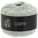Lana Grossa CAPRI | 29-green beige