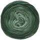 Lana Grossa CHILLY DÉGRADÉ (ABOUT BERLIN) | 102-gray green shaded
