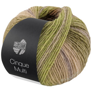 Lana Grossa CINQUE MULTI | 26-gray green/blackberry/lilac/rosewood/mustard mottled