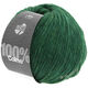 Lana Grossa COLMO | 11-green