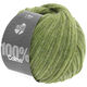 Lana Grossa COLMO | 19-hay green