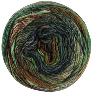 Lana Grossa COLORISSIMO 2 | 216-light green/green/petrol/dark petrol/red brown/chocolate brown/burgundy/gray