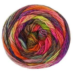 Lana Grossa COLORISSIMO 2 | 219-gray/dark brown/dark violet/red violet/orange/red/yellow/light green/pink/mint gray/coral