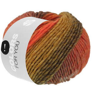 Lana Grossa COLORS FOR YOU | 162-mandarin/orange/olive/gray/ochre/brown/mustard/jeans blue