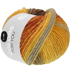 Lana Grossa COLORS FOR YOU | 164-yellow/saffron yellow/light gray/violet blue/ochre/brown/gray brown