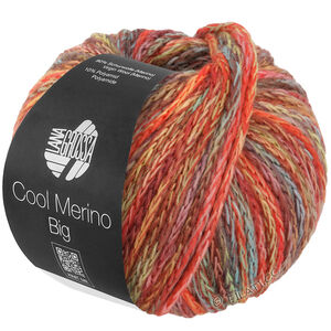 Lana Grossa COOL MERINO Big Color | 402-gray green/red/yellow/mint/brown/rosewood