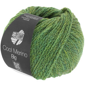 Lana Grossa COOL MERINO Big | 204-green