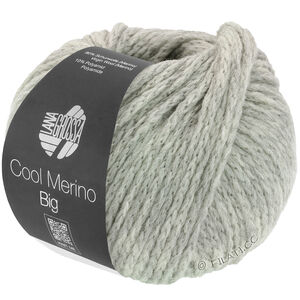 Lana Grossa COOL MERINO Big | 218-light gray