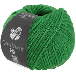 Lana Grossa COOL MERINO Big | 226-spring green
