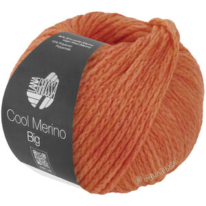 Lana Grossa COOL MERINO Big | 236-salmon red
