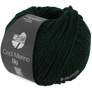 Lana Grossa COOL MERINO Big | 238-fir green