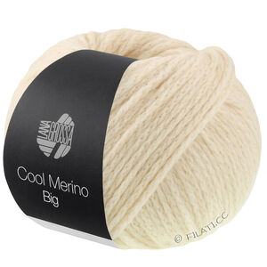 Lana Grossa COOL MERINO Big | 241-seashell