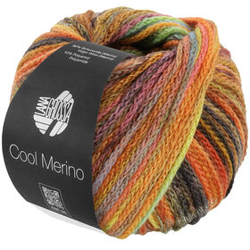 COOL MERINO Color from Lana Grossa