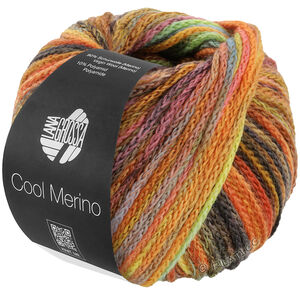 Lana Grossa COOL MERINO Color | 313-brown/yellow/orange/gray green/apple green/bottle green/jade/umbra/rust/heather/raspberry