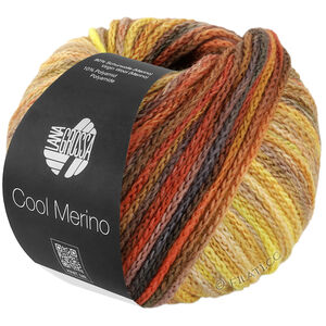 Lana Grossa COOL MERINO Color | 314-camel/umbra/rust/yellow/beige/taupe/nougat