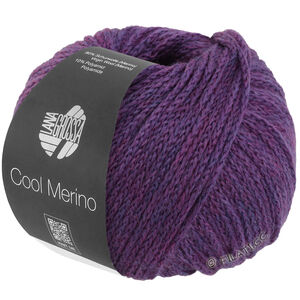 Lana Grossa COOL MERINO | 025-eggplant