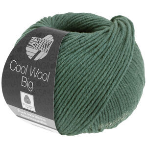 Lana Grossa COOL WOOL Big  Uni/Melange | 1004-moss green