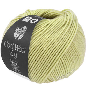 Lana Grossa COOL WOOL Big  Uni/Melange | 1029-Birch green