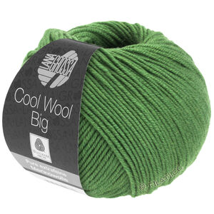Lana Grossa COOL WOOL Big  Uni/Melange | 0997-leaf green