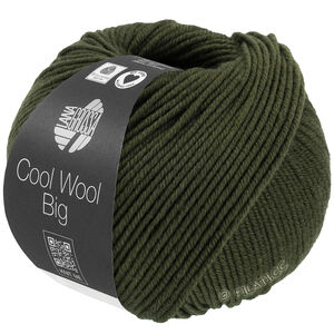 Lana Grossa COOL WOOL Big Mélange (We Care) | 1695-loden green mottled