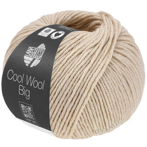 Lana Grossa COOL WOOL Big Mélange (We Care) | 1707-beige mottled