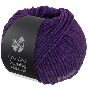 Lana Grossa COOL WOOL Superbig Mélange | 204-purple mottled