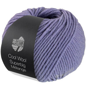 Lana Grossa COOL WOOL Superbig Mélange | 205-purple mottled