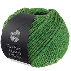 Lana Grossa COOL WOOL Superbig Mélange | 211-green mottled
